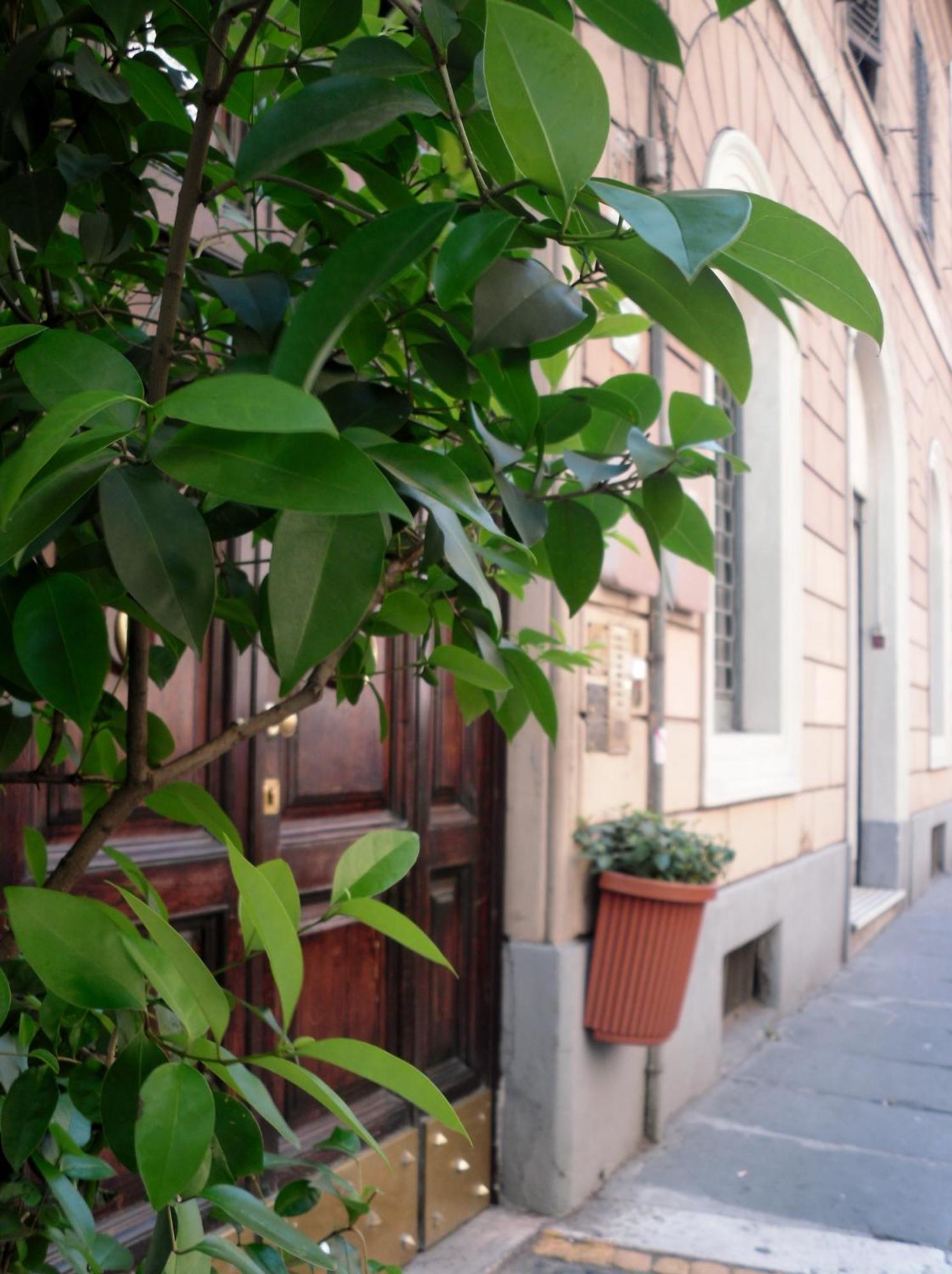 Hotel Castelfidardo Rzym Zewnętrze zdjęcie